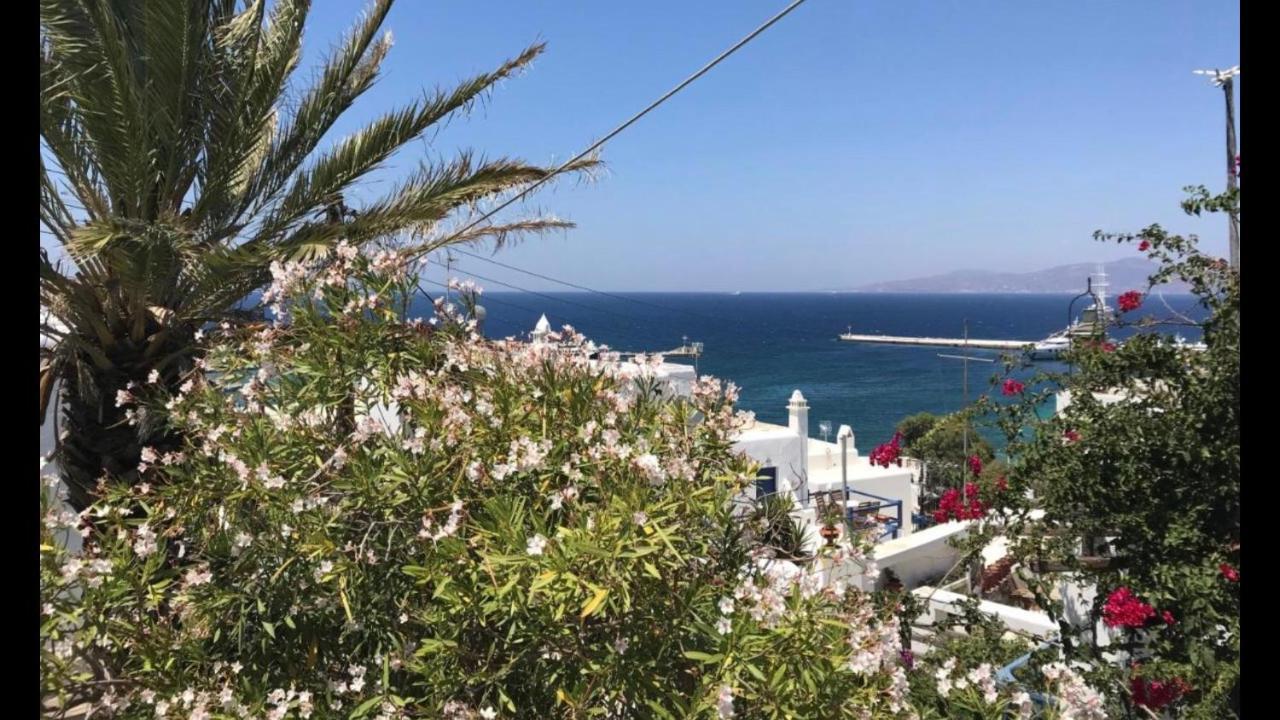 Rania Apartments Sea View Mykonos Town Buitenkant foto